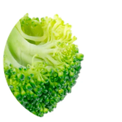 Lipoic Acid Lipoic Acid